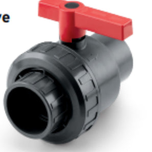 Jandy 2In Standard Single Union Ball Valve Jandy Gold Standard BVSU020
