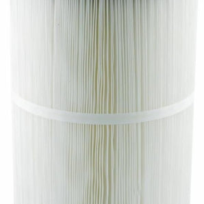 Pentair Sta-Rite Sta-Rite Plm100 Replacement Cartridge 27002-0100S