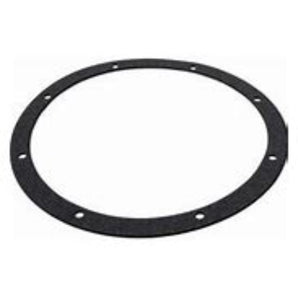 Aladdin Niche Gasket American G168 Pentair / American Pentair / Purex G-168
