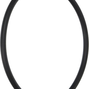 Hayward O-Ring - Strainer Cover #432 50D SPX2700Z4