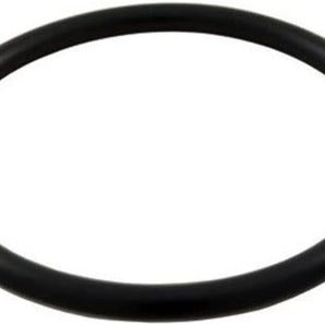 Hayward O-Ring 15In Mpt Winter Plug Apco2392 O125 SPX1022CZ2