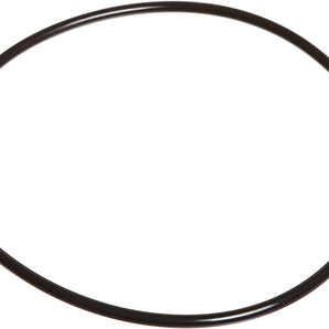 Jandy Polaris Booster Pump Parts O-Ring Backplate Pb4-60 R0536600