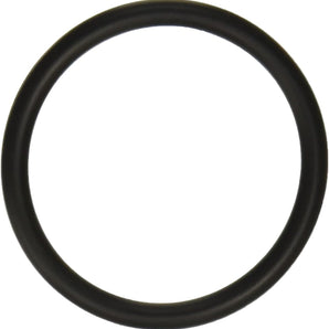 Hayward Strainer O Ring SPX5500K