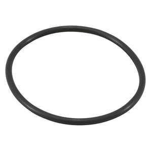 Jandy Truclear O-Ring Replacement R0694100