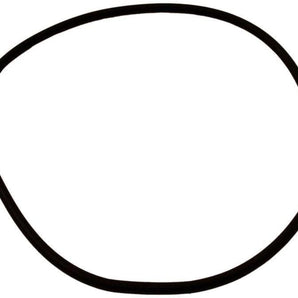 Pentair Sta-Rite Seal Plate O-Ring Starite O469 U9-373Z