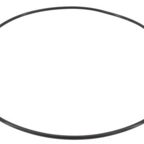 Waterway Volute O-Ring #164 Executive 2 805-0164B