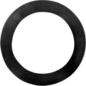 Pentair Cork Gasket 552496