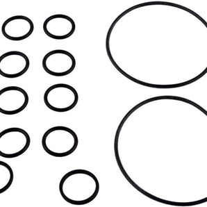 Jandy O-Ring Kit R0552400