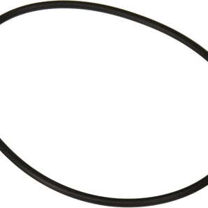 Hayward Matrix Strainer Cover O-Ring SPX5500H