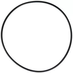 Hayward Cover O-Ring O48 SPX0704F