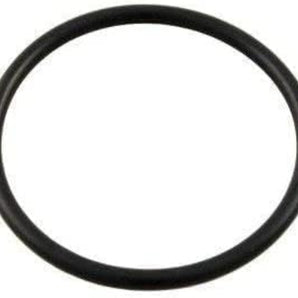 Pentair Lid O-Ring (After 99) 350013Z