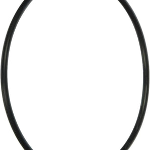 Jandy Energy Filter O-Ring Kit R0374500