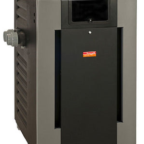 Raypak 406A Digital LP Propane Pool and Spa Heater 399K BTU PR406AEPC 009227